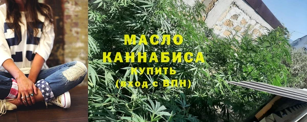 прущие крисы Ельня