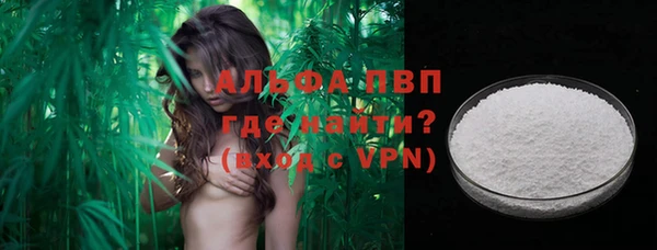 прущие крисы Ельня