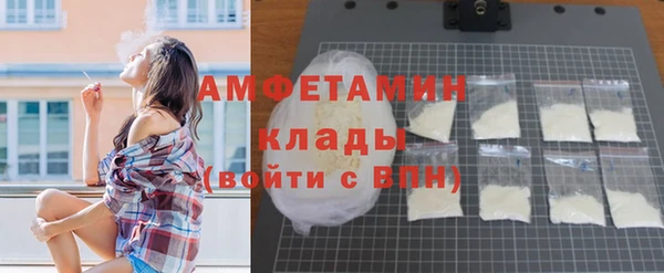 прущие крисы Ельня