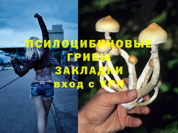 прущие крисы Ельня