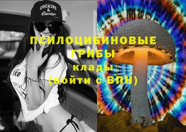 эйфоретик Елизово