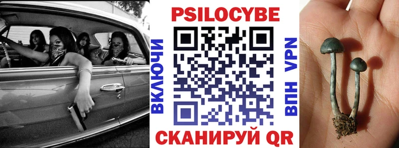 Псилоцибиновые грибы Psilocybine cubensis  Среднеуральск 