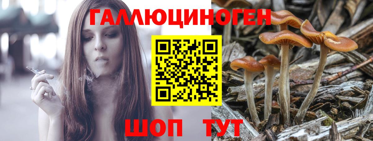Среднеуральск  Псилоцибиновые грибы Magic Shrooms  Вход с VPN 